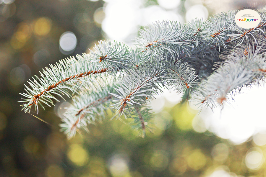 детский фотограф