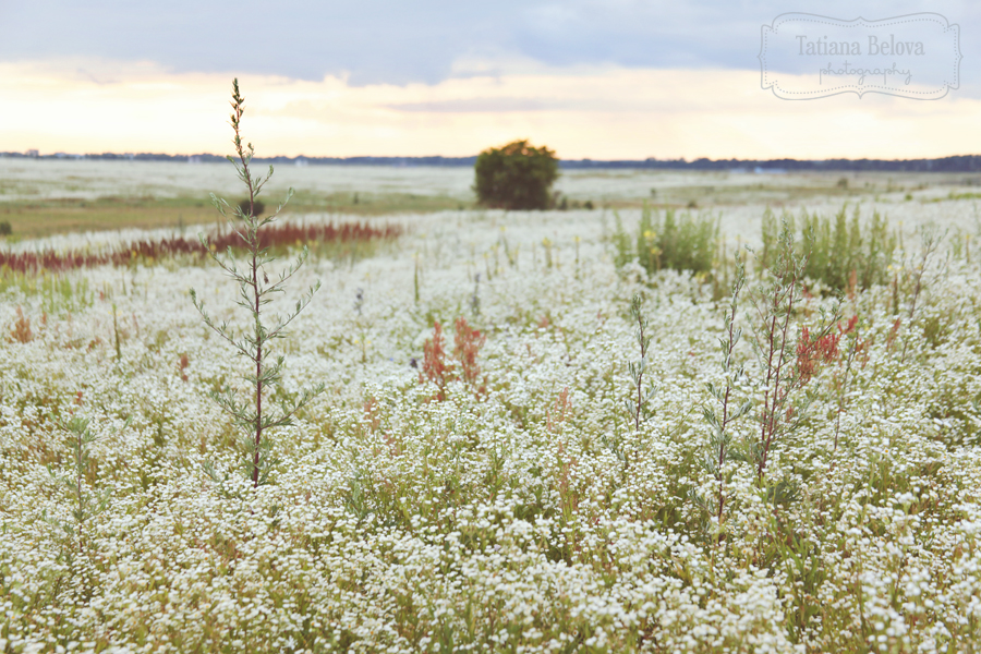 свадебный фотограф