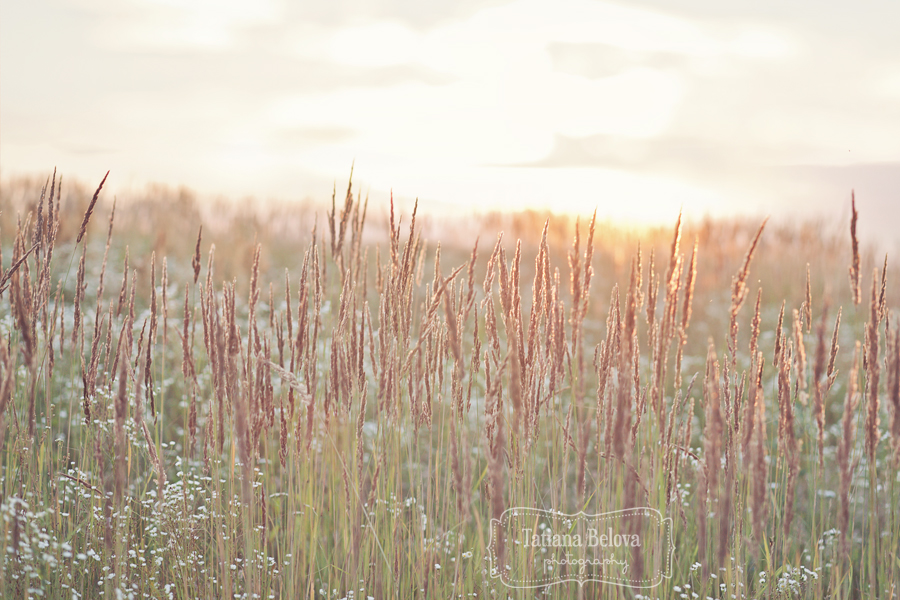 свадебная фотосъемка