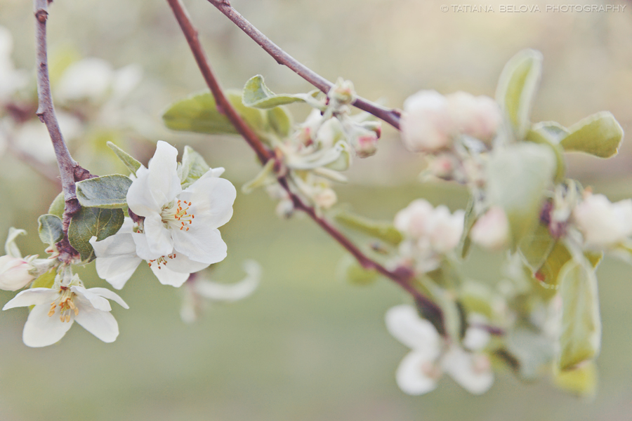 фотосъемка lovestory