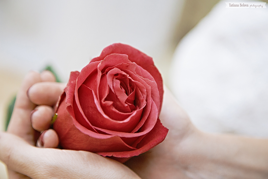 свадебный фотограф